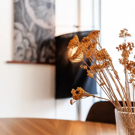 Apartment Vincent Loft In Der Innenstadt - Mit Garage Bregenz