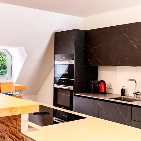 Vincent Loft In Der Innenstadt - Mit Garage Bregenz